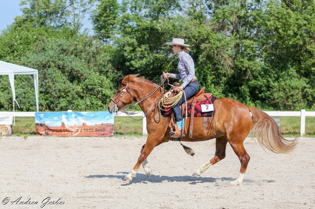Swiss Ranch Horse Association - SRHA