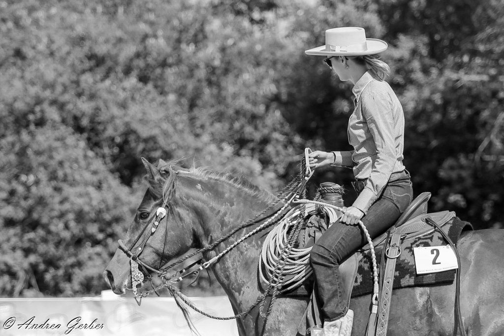 Swiss Ranch Horse Association - SRHA