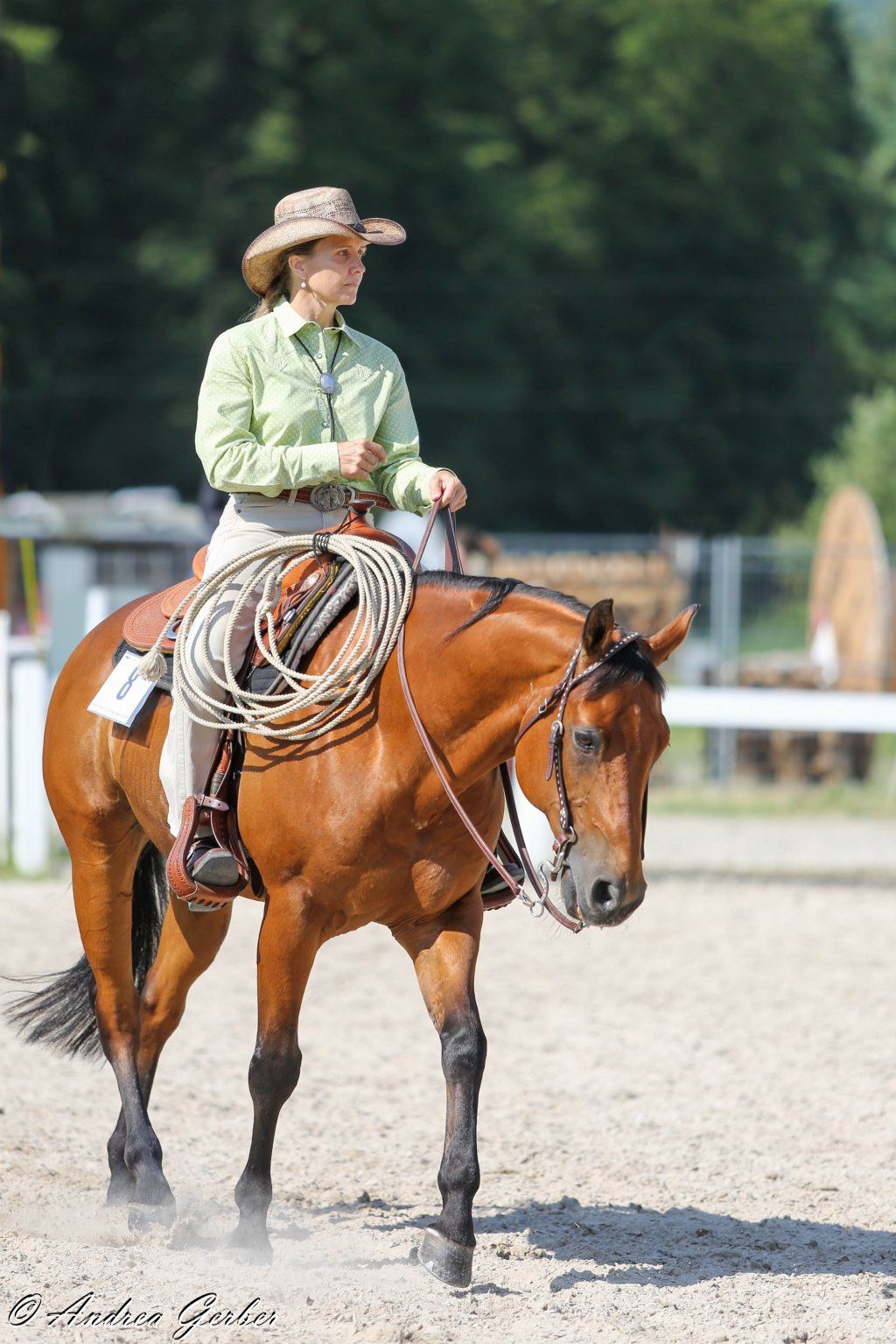 Swiss Ranch Horse Association - SRHA