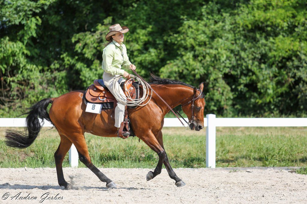 Swiss Ranch Horse Association - SRHA