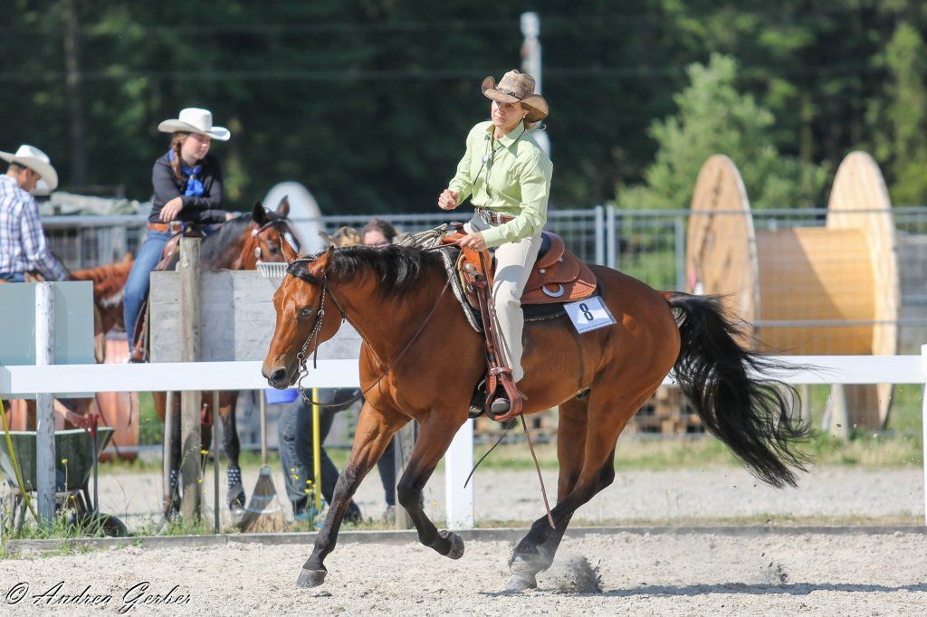 Swiss Ranch Horse Association - SRHA