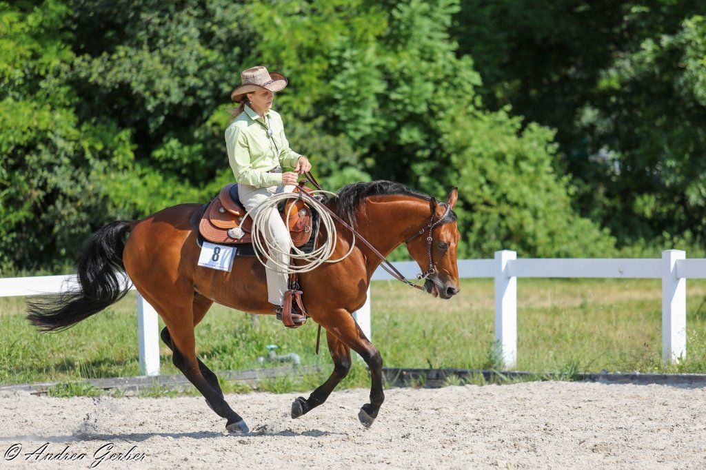 Swiss Ranch Horse Association - SRHA