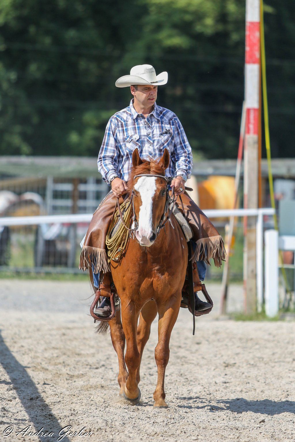 Swiss Ranch Horse Association - SRHA