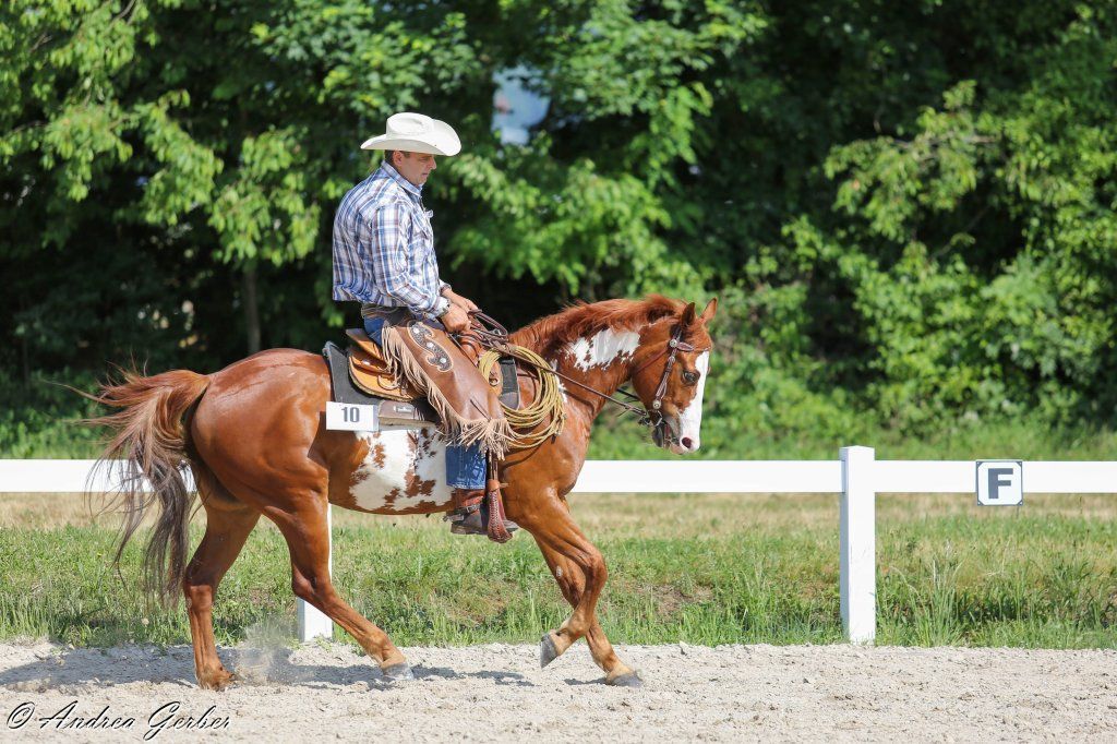 Swiss Ranch Horse Association - SRHA