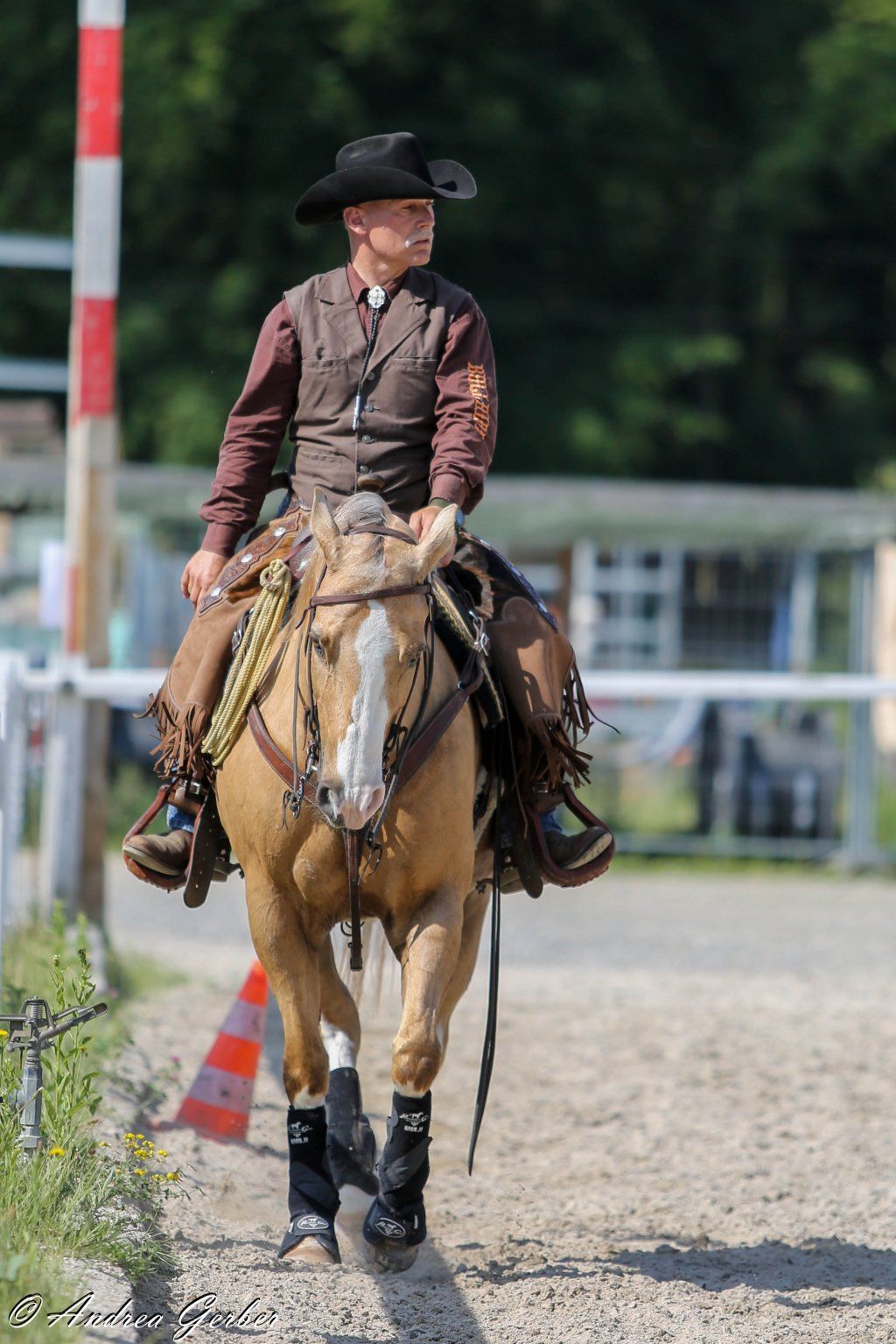 Swiss Ranch Horse Association - SRHA