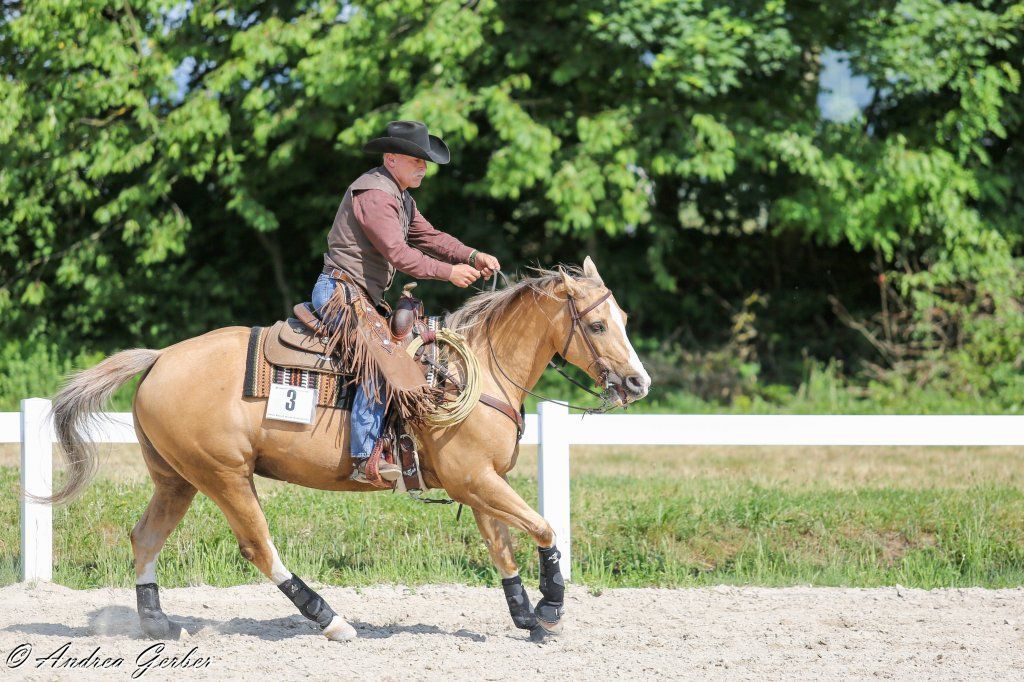 Swiss Ranch Horse Association - SRHA