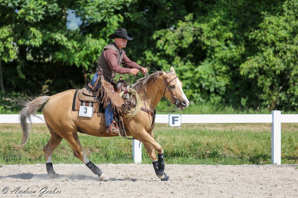 Swiss Ranch Horse Association - SRHA