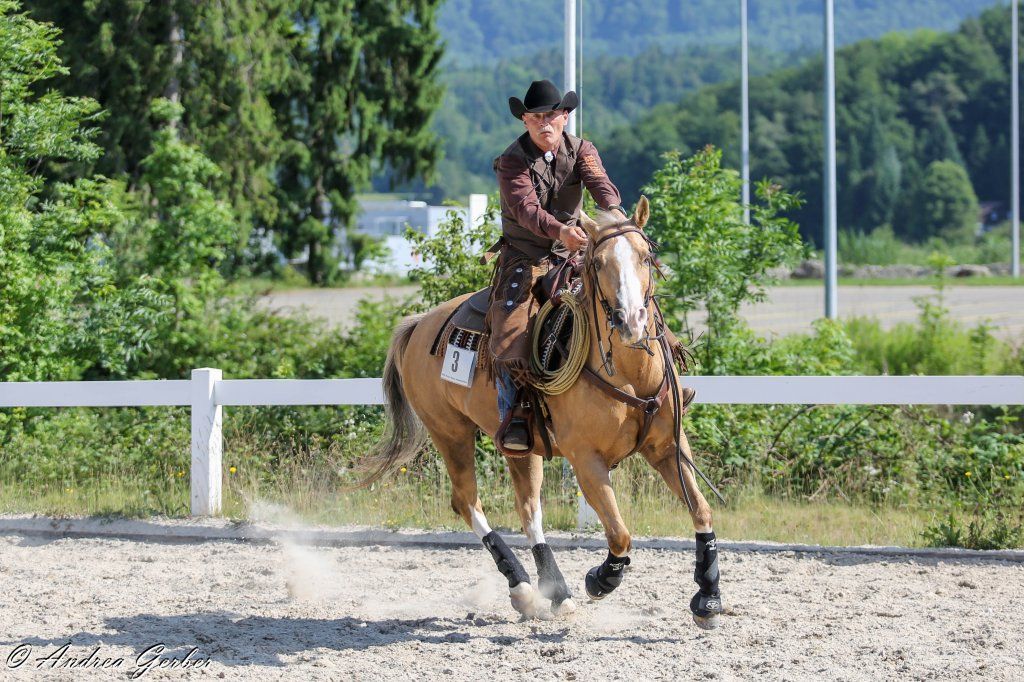 Swiss Ranch Horse Association - SRHA