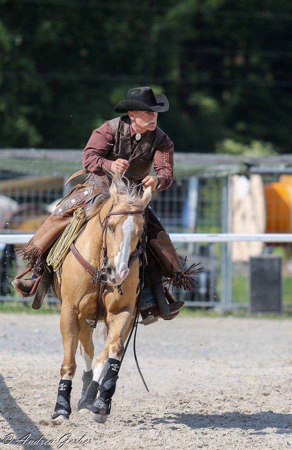 Swiss Ranch Horse Association - SRHA