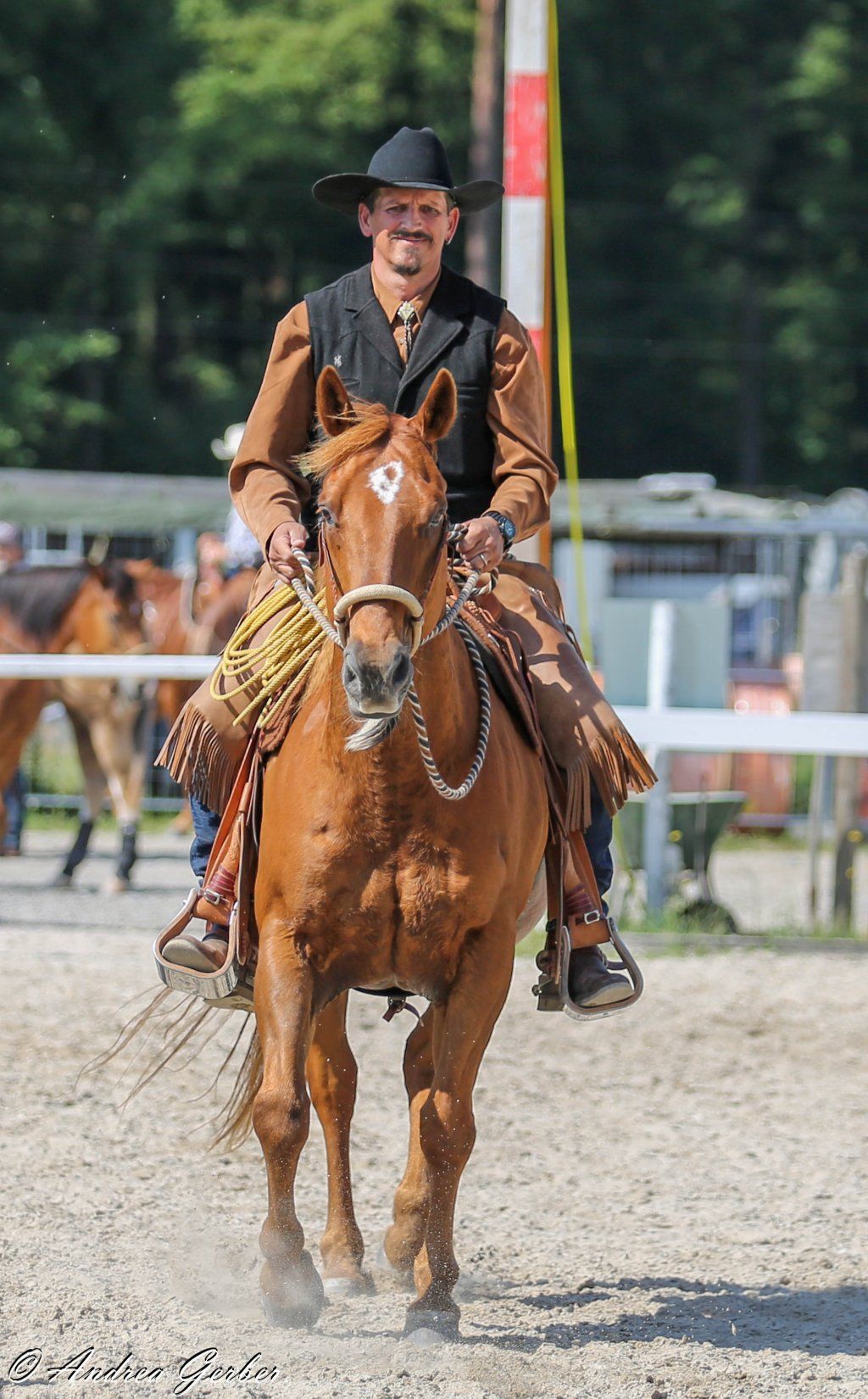 Swiss Ranch Horse Association - SRHA