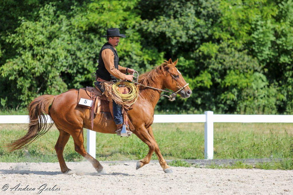 Swiss Ranch Horse Association - SRHA