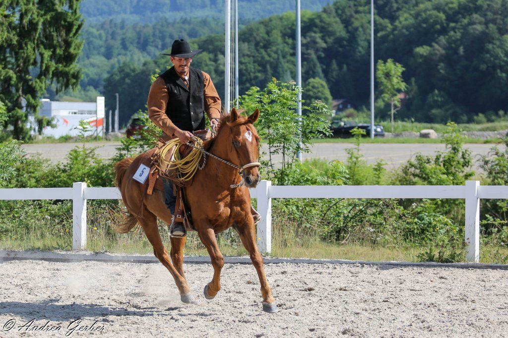 Swiss Ranch Horse Association - SRHA