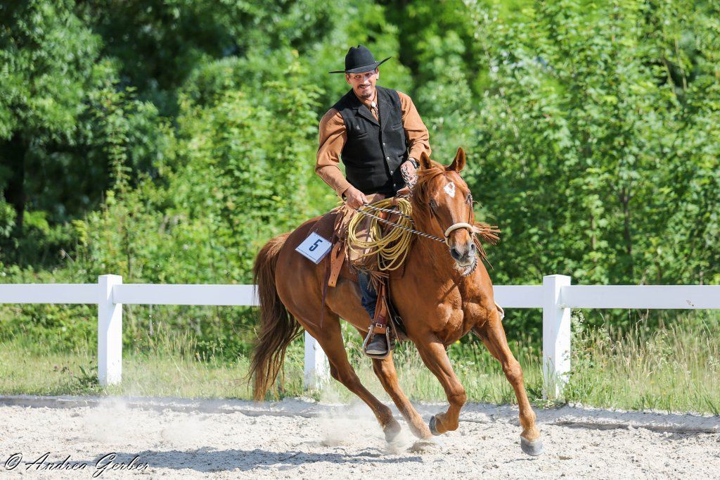 Swiss Ranch Horse Association - SRHA