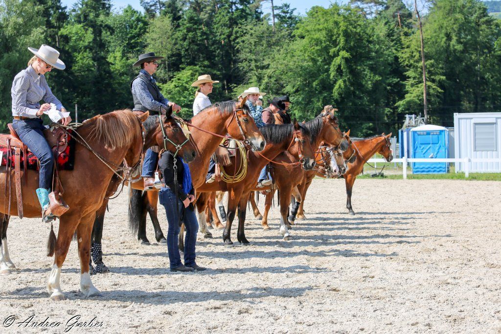 Swiss Ranch Horse Association - SRHA