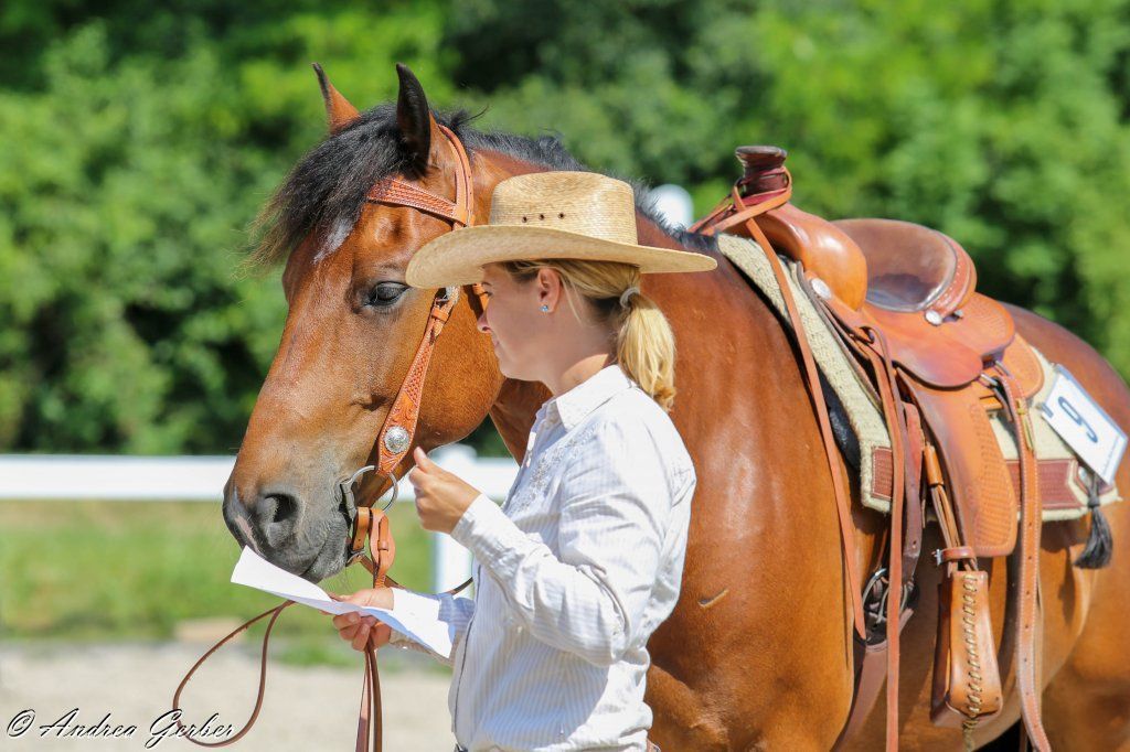 Swiss Ranch Horse Association - SRHA