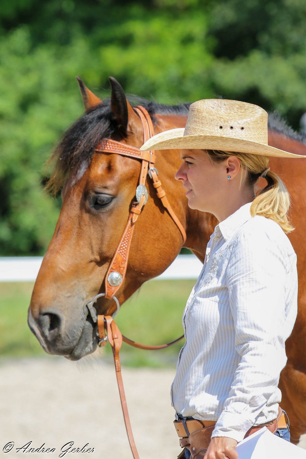 Swiss Ranch Horse Association - SRHA