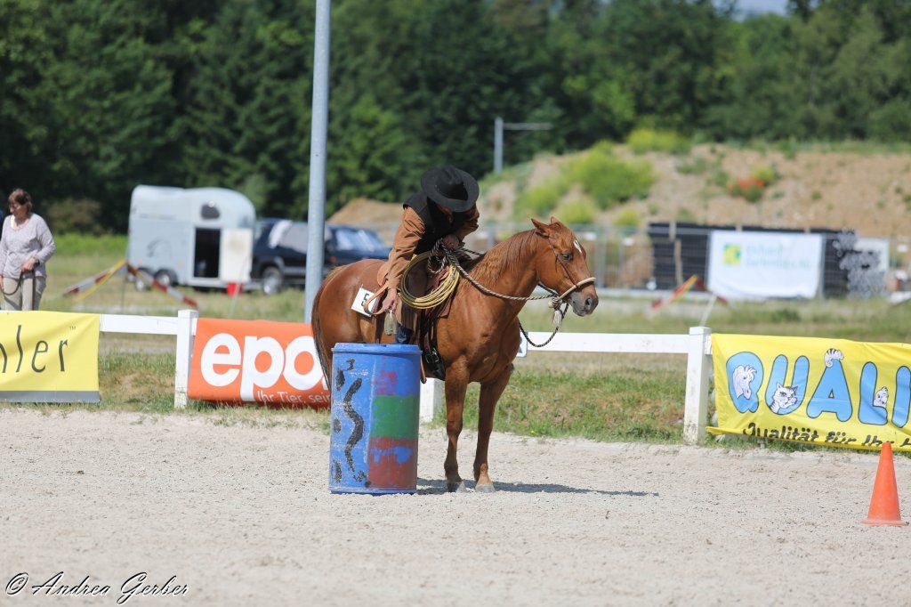 Swiss Ranch Horse Association - SRHA