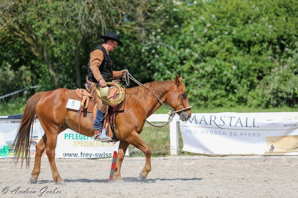 Swiss Ranch Horse Association - SRHA