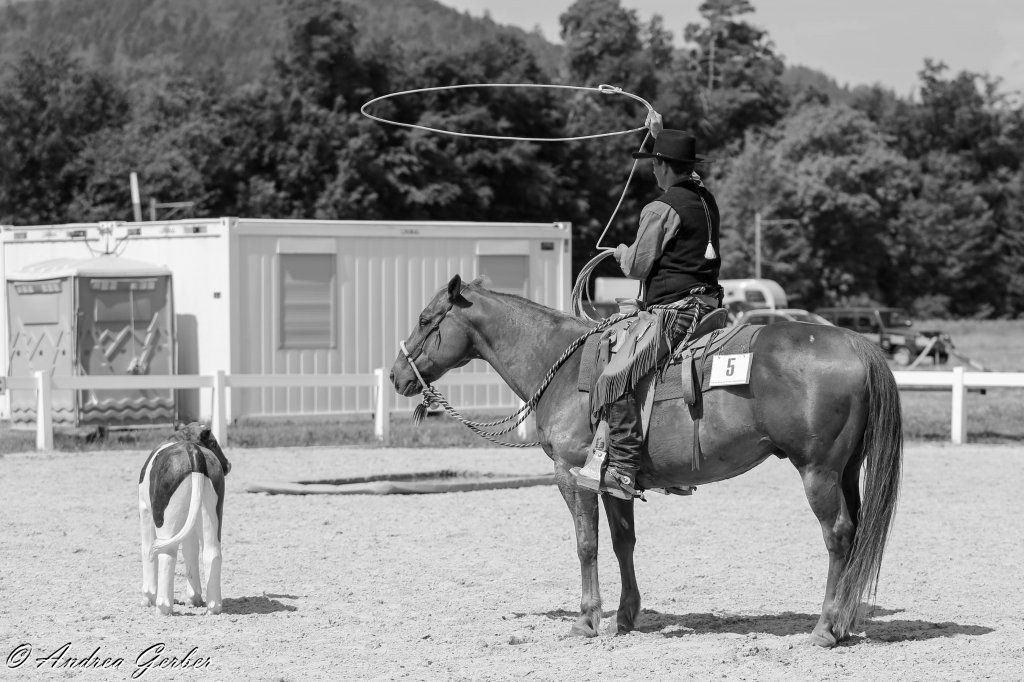 Swiss Ranch Horse Association - SRHA