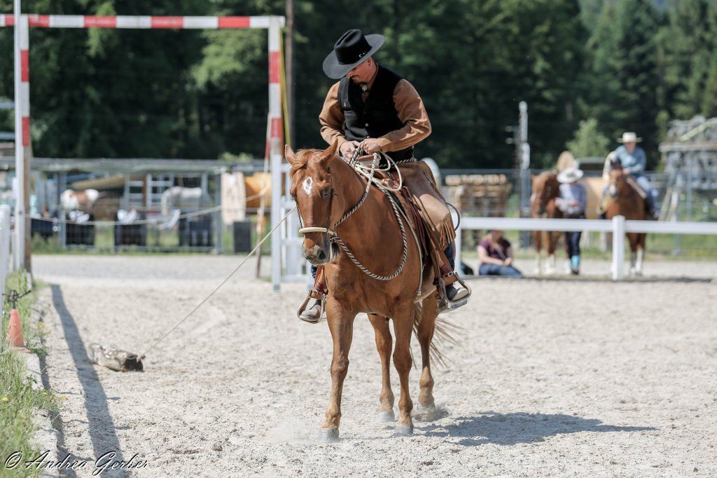 Swiss Ranch Horse Association - SRHA
