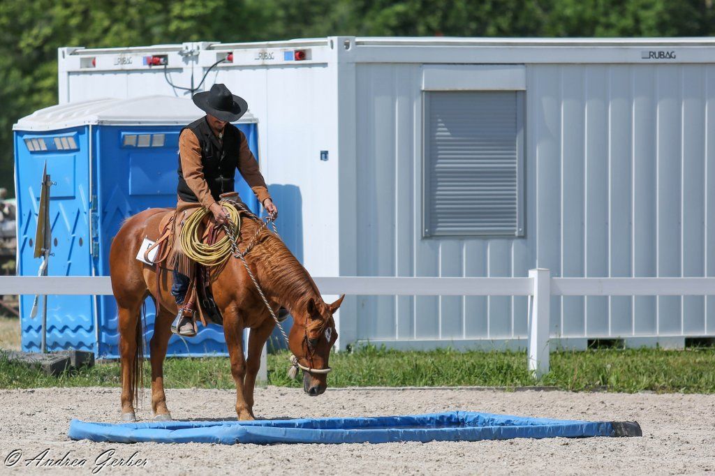 Swiss Ranch Horse Association - SRHA