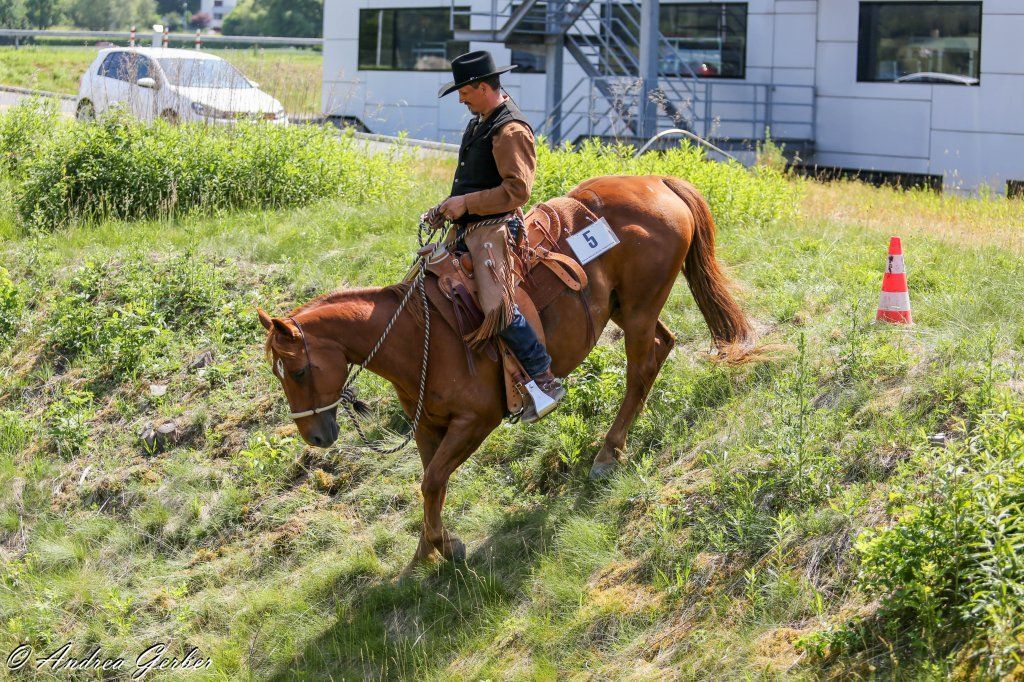 Swiss Ranch Horse Association - SRHA