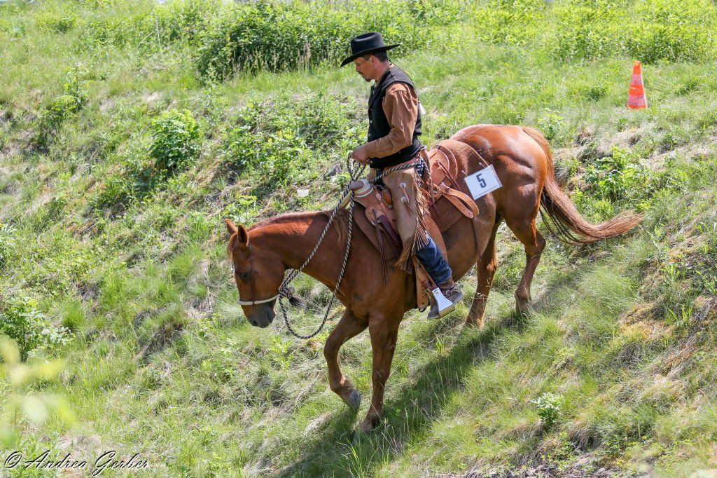 Swiss Ranch Horse Association - SRHA