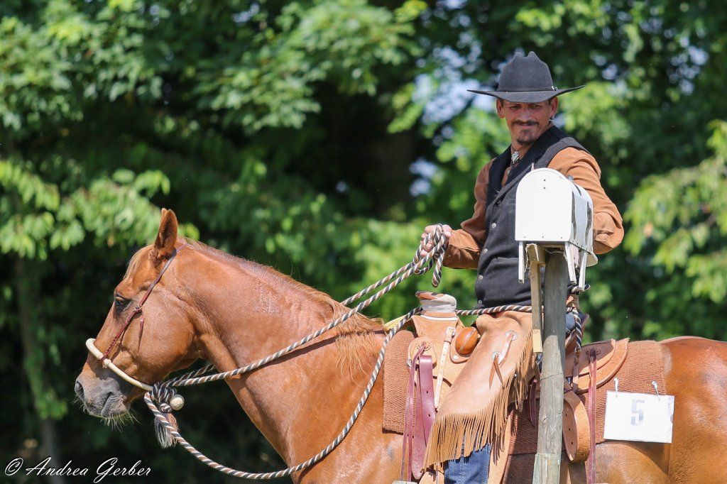 Swiss Ranch Horse Association - SRHA
