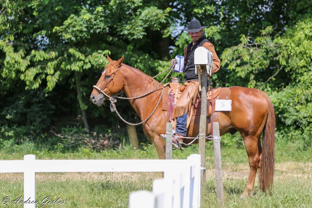 Swiss Ranch Horse Association - SRHA