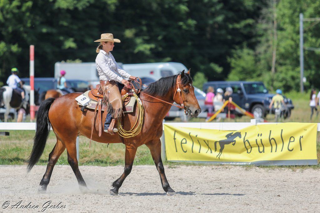 Swiss Ranch Horse Association - SRHA