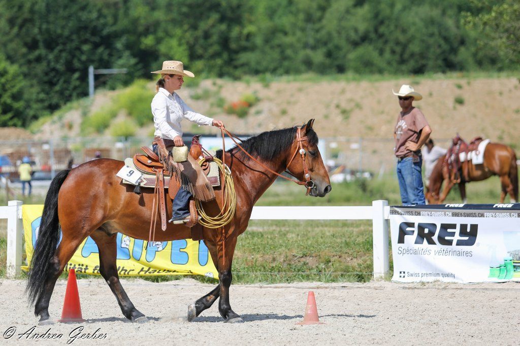 Swiss Ranch Horse Association - SRHA