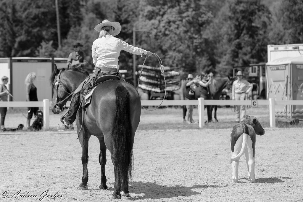 Swiss Ranch Horse Association - SRHA