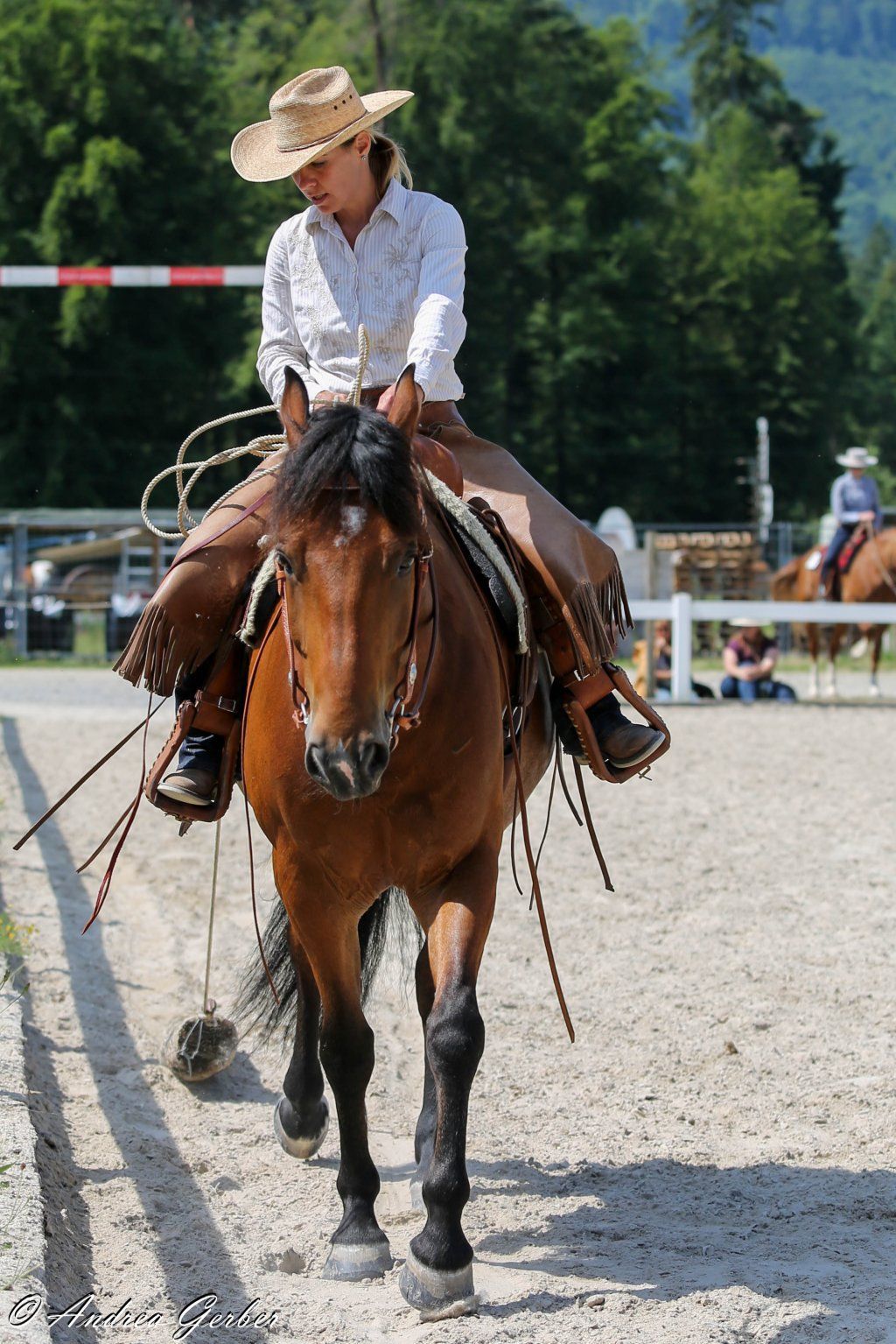 Swiss Ranch Horse Association - SRHA