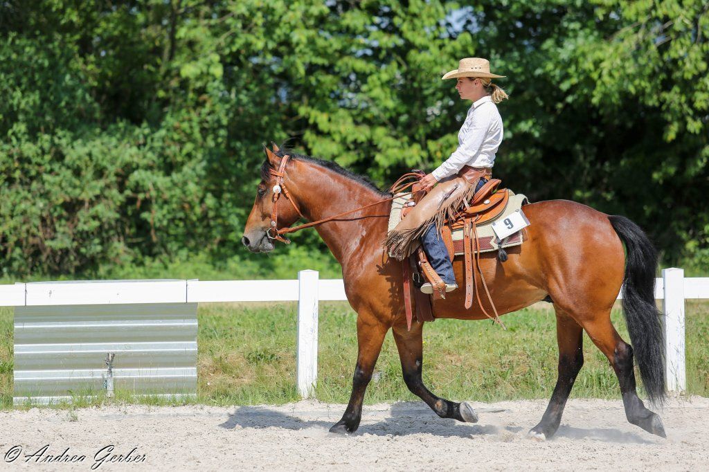 Swiss Ranch Horse Association - SRHA
