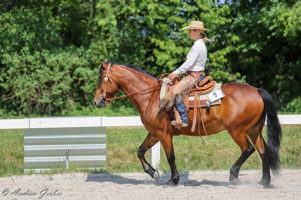 Swiss Ranch Horse Association - SRHA