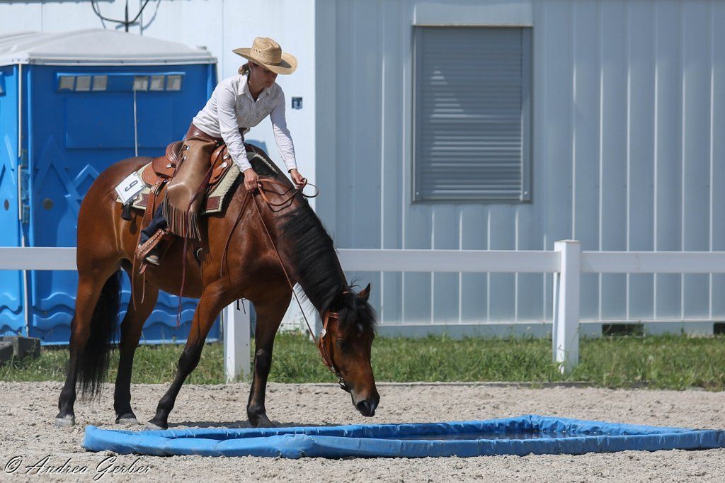 Swiss Ranch Horse Association - SRHA