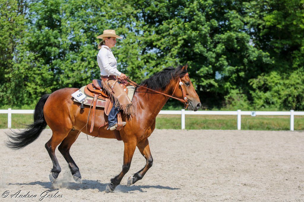 Swiss Ranch Horse Association - SRHA