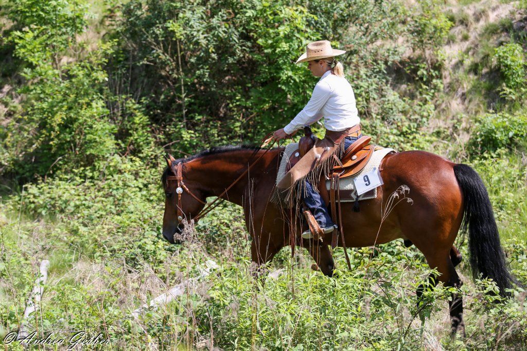 Swiss Ranch Horse Association - SRHA