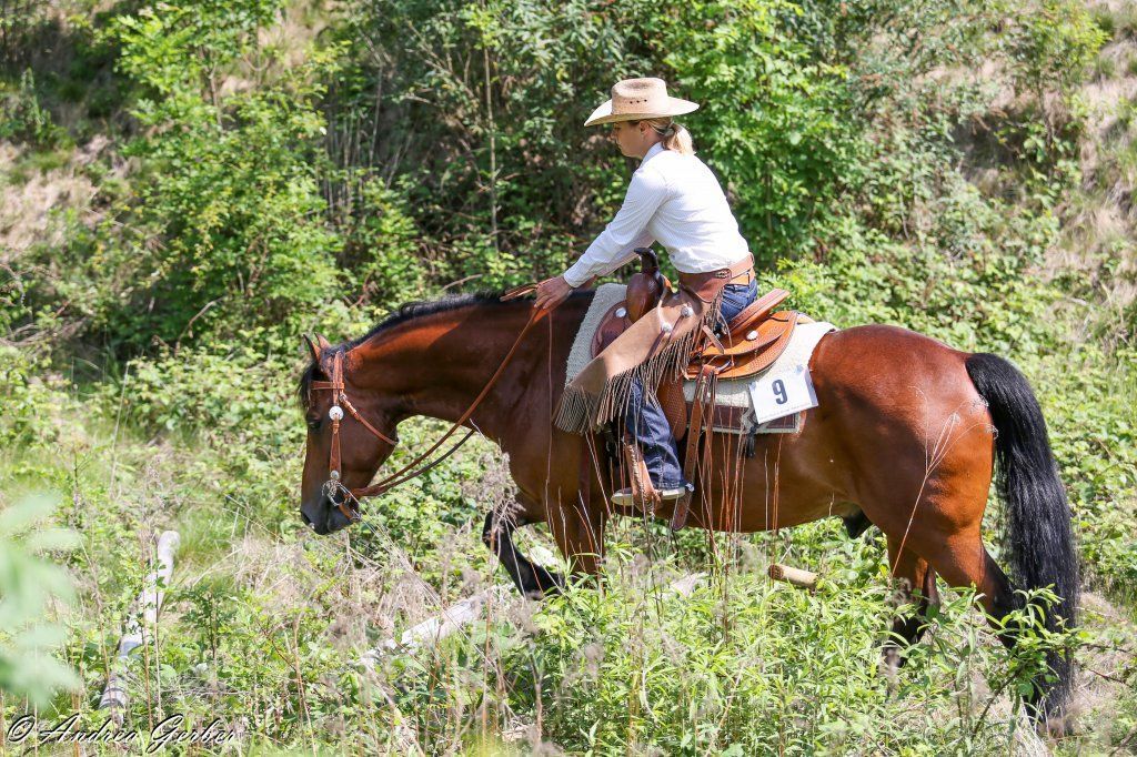 Swiss Ranch Horse Association - SRHA