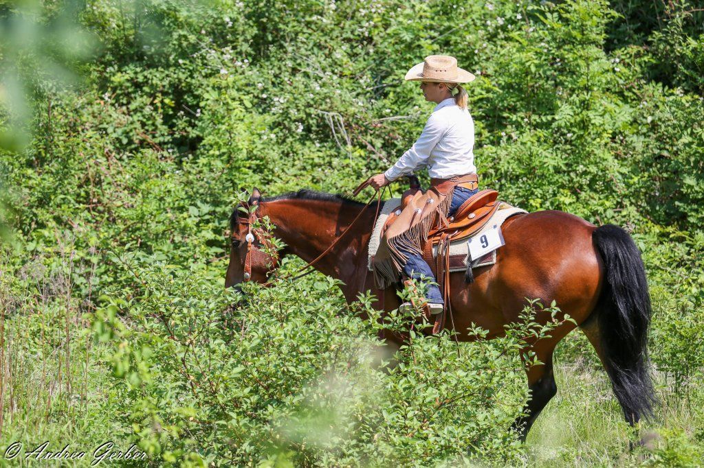 Swiss Ranch Horse Association - SRHA
