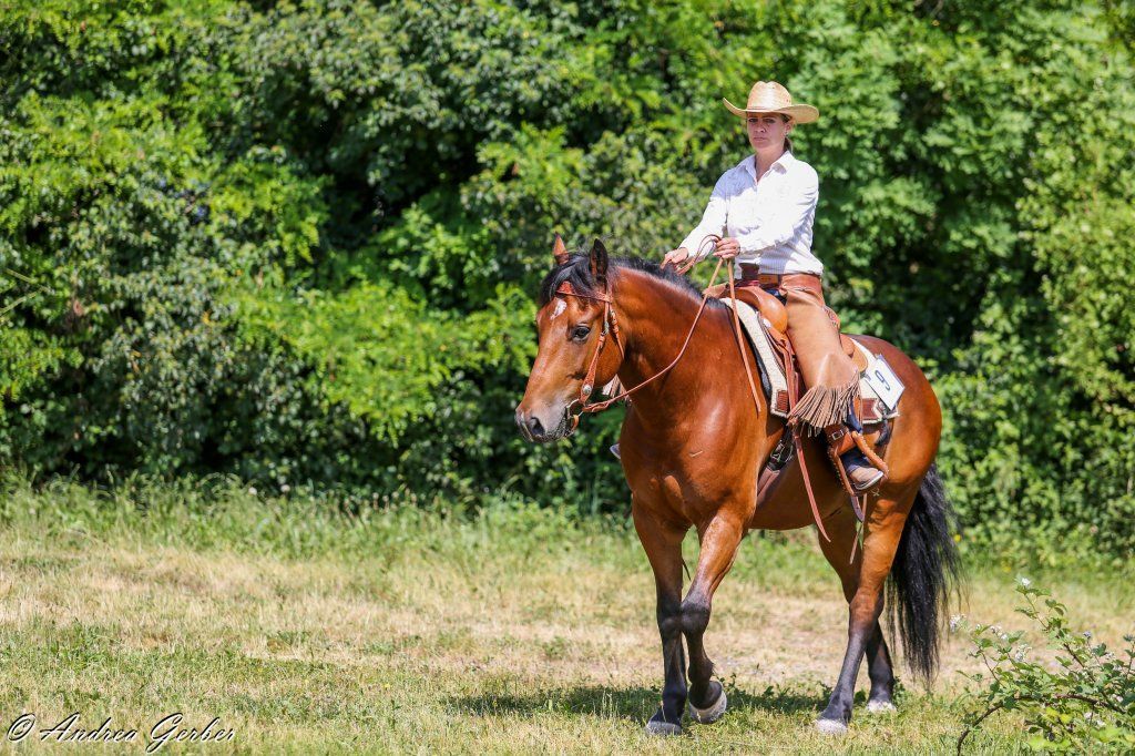 Swiss Ranch Horse Association - SRHA