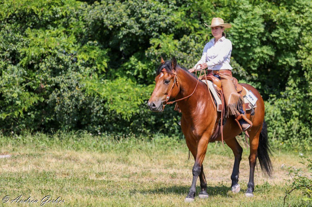 Swiss Ranch Horse Association - SRHA