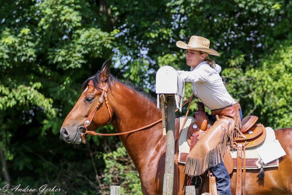 Swiss Ranch Horse Association - SRHA