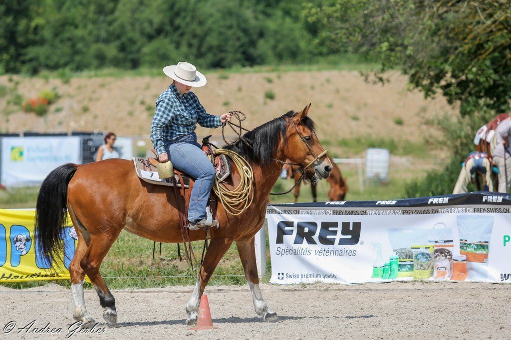 Swiss Ranch Horse Association - SRHA