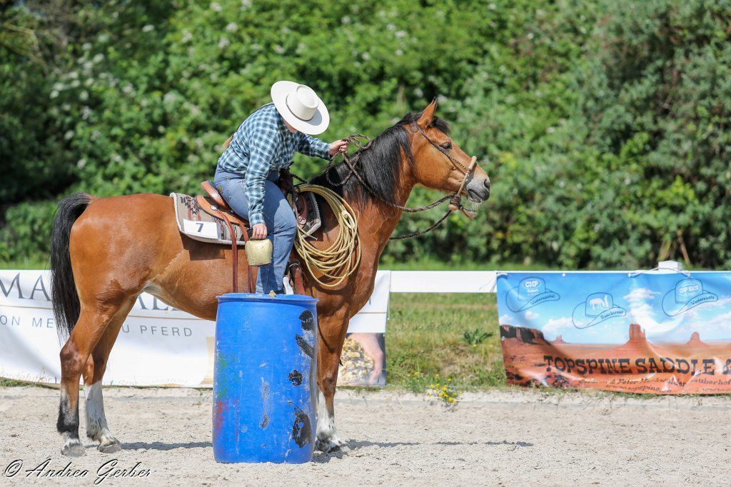 Swiss Ranch Horse Association - SRHA