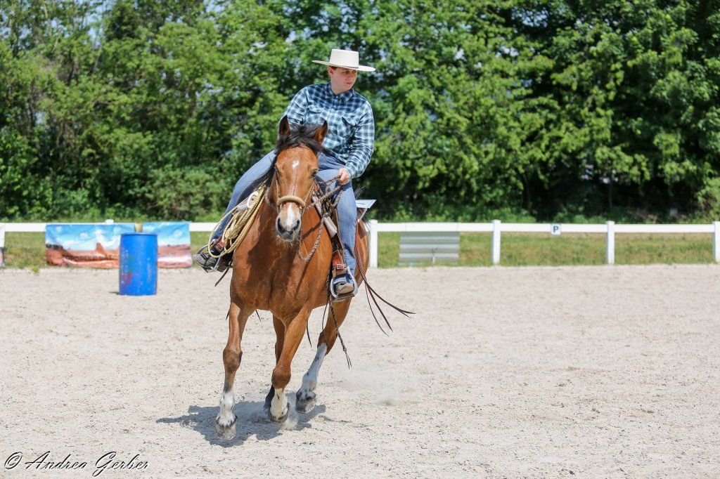 Swiss Ranch Horse Association - SRHA