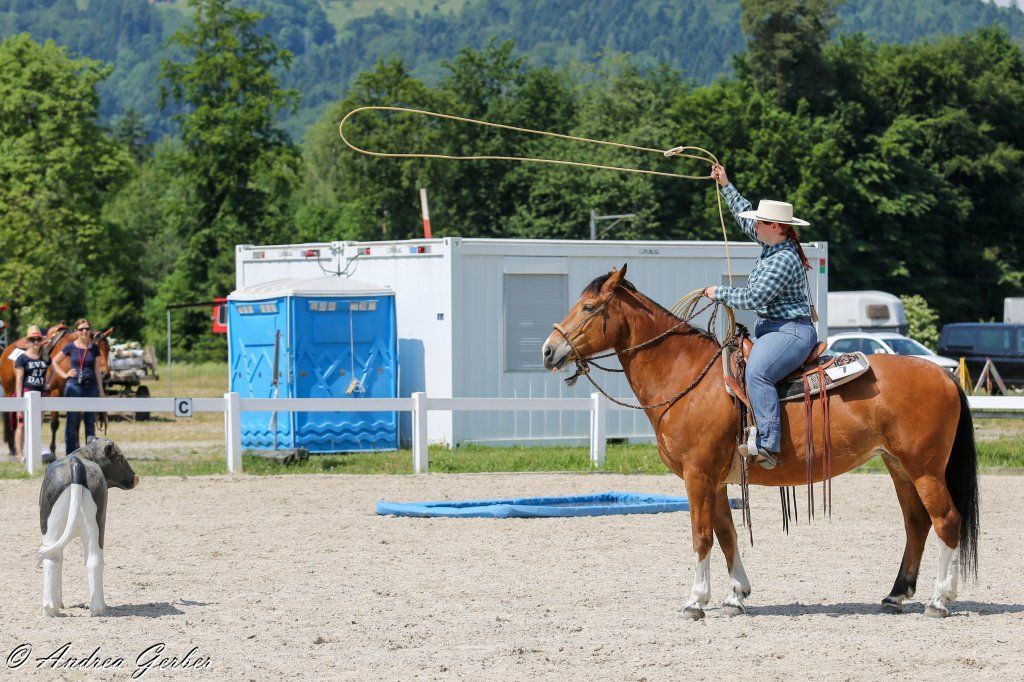 Swiss Ranch Horse Association - SRHA