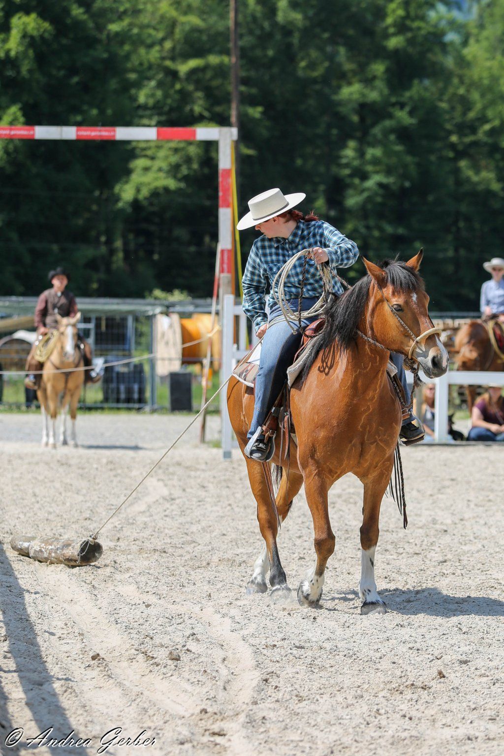 Swiss Ranch Horse Association - SRHA