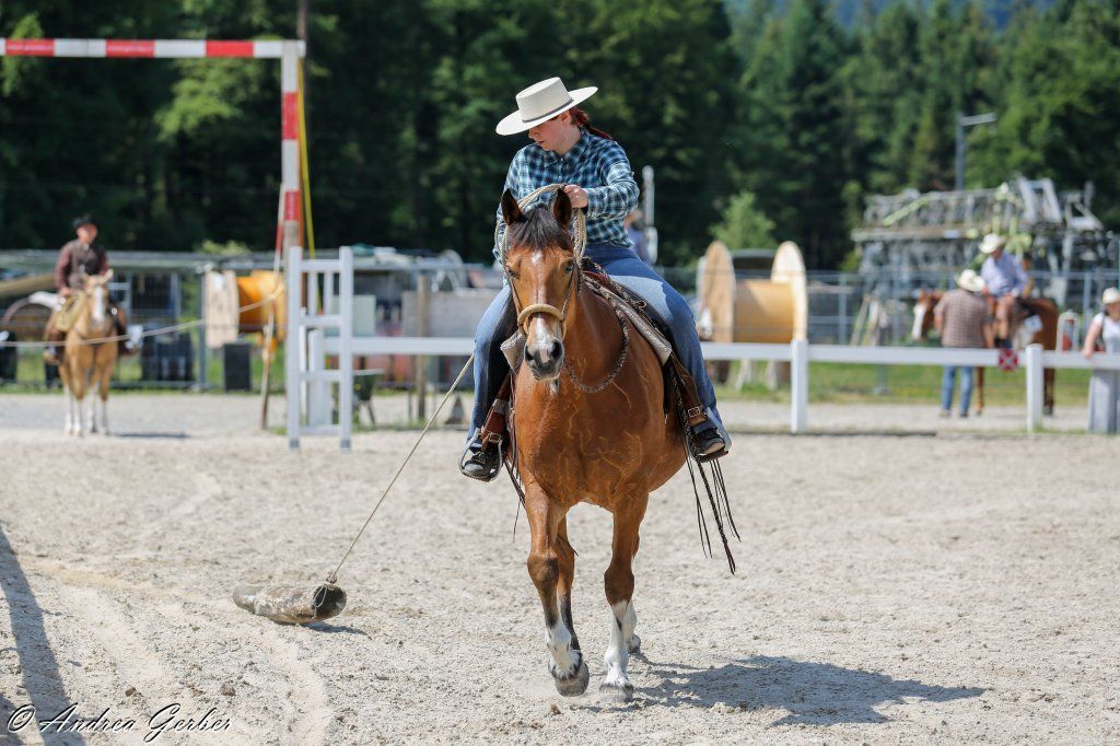 Swiss Ranch Horse Association - SRHA