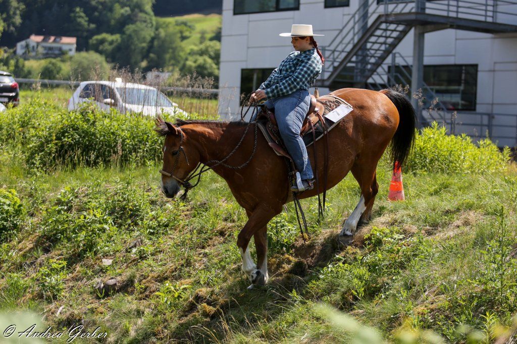 Swiss Ranch Horse Association - SRHA